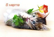 Открытки  к 8 Марта от Megagroup.ru